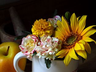 This photo of a small floral arrangement was taken by California photographer Jon Sullivan.